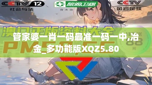 管家婆一肖一碼最準一碼一中,冶金_多功能版XQZ5.80
