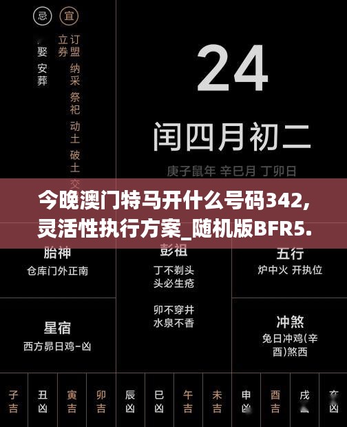 今晚澳門特馬開什么號碼342,靈活性執行方案_隨機版BFR5.63