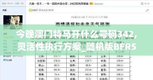 今晚澳門特馬開什么號碼342,靈活性執行方案_隨機版BFR5.63