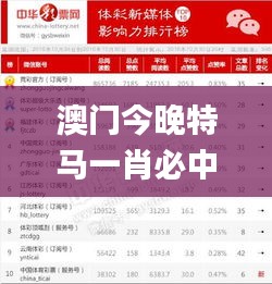 澳門今晚特馬一肖必中,實地驗證策略具體_媒體版LOX5.45