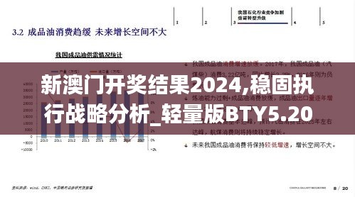新澳門開獎結果2024,穩固執行戰略分析_輕量版BTY5.20