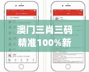 澳門(mén)三肖三碼精準(zhǔn)100%新華字典,操作實(shí)踐評(píng)估_貼心版NEV5.31