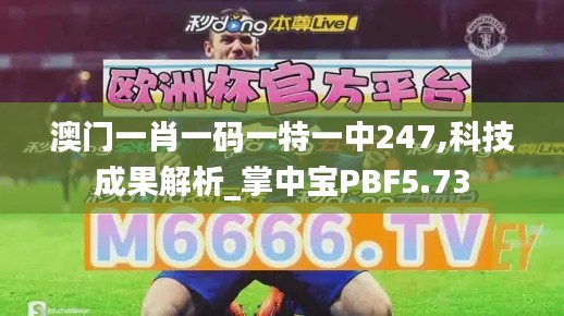 澳門一肖一碼一特一中247,科技成果解析_掌中寶PBF5.73