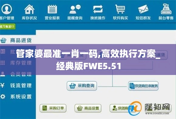 管家婆最準一肖一碼,高效執行方案_經典版FWE5.51