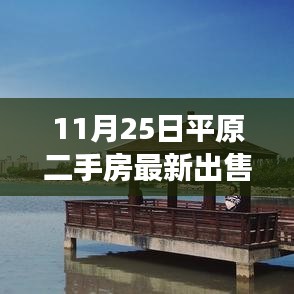 揭秘最新平原二手房市場,最新出售信息詳解(11月25日)