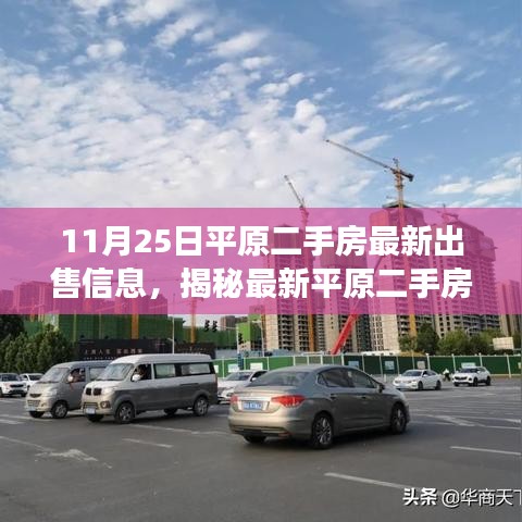 揭秘最新平原二手房市場,最新出售信息詳解(11月25日)
