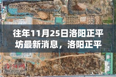 洛陽正平坊鄰里聚會(huì)日，十一月暖陽下的溫馨時(shí)光