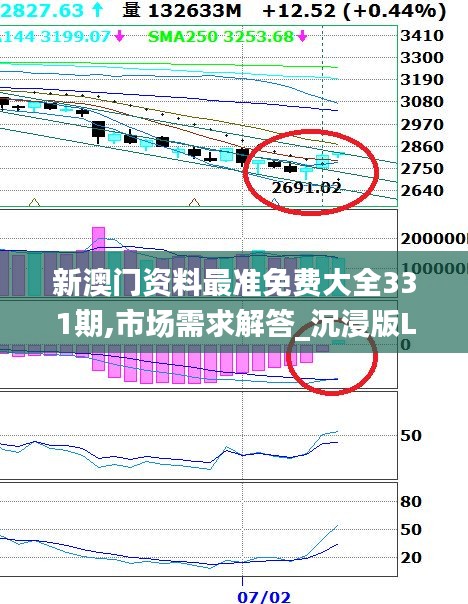 新澳門資料最準免費大全331期,市場需求解答_沉浸版LHZ11.7