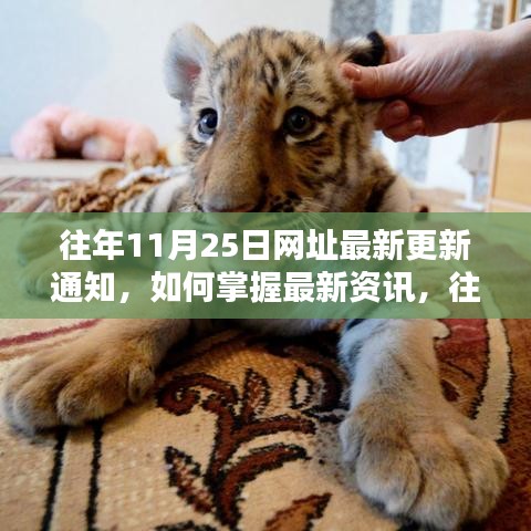 往年11月25日網址更新詳解,掌握最新資訊的方法與途徑解析