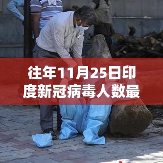 往年11月25日印度新冠病毒人數最新數據,操作指南與獲取方法