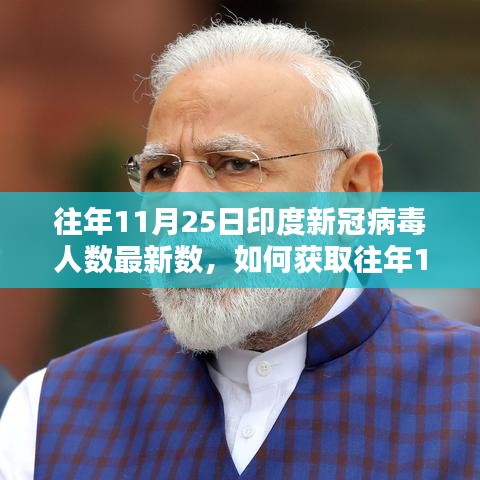 往年11月25日印度新冠病毒人數最新數據,操作指南與獲取方法