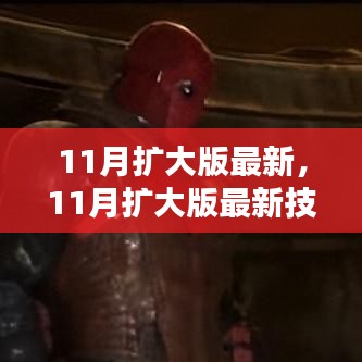 最新11月擴大版技能學習指南,一步步教你完成任務