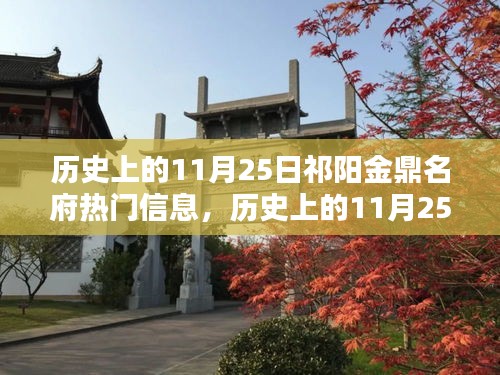 歷史上的11月25日祁陽金鼎名府揭秘,熱門信息一覽