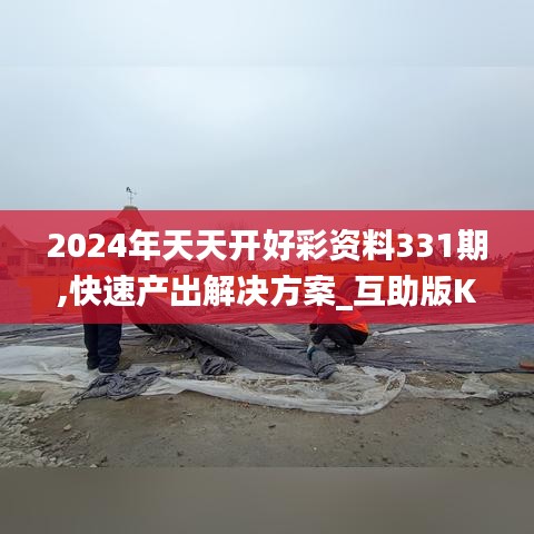 2024年天天開好彩資料331期,快速產出解決方案_互助版KXX11.35