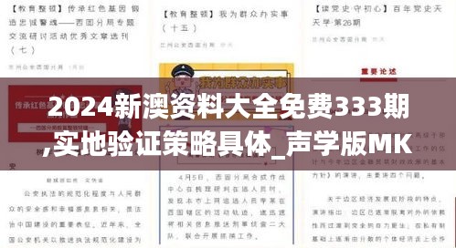 2024新澳資料大全免費333期,實地驗證策略具體_聲學版MKM11.16