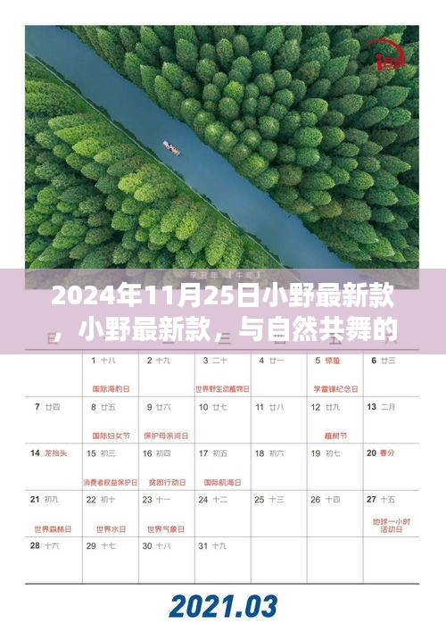 小野最新款，與自然共舞的日子啟程，尋找內心的寧靜與歡笑時光（2024年11月25日）