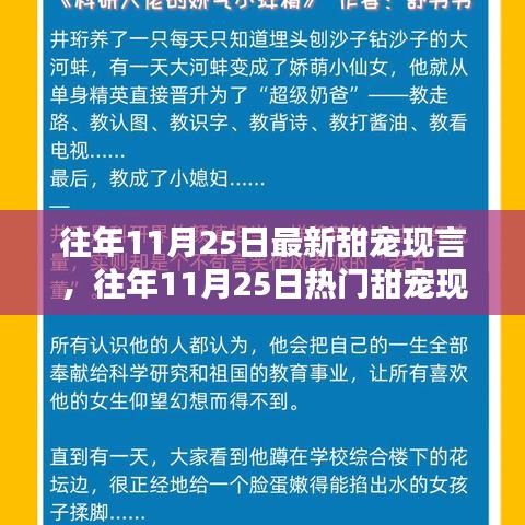往年11月25日甜寵現言佳作盤點與深度評測
