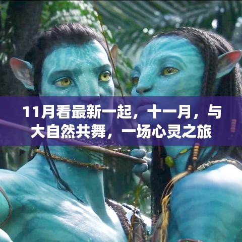 11月看最新一起,十一月,與大自然共舞,一場心靈之旅