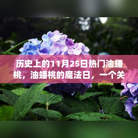 歷史上的油蟠桃魔法日,友情、愛與陪伴的溫馨故事