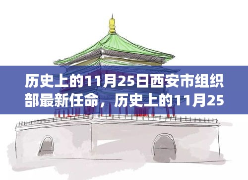 西安市組織部11月25日最新任命詳解,從零開始的指南