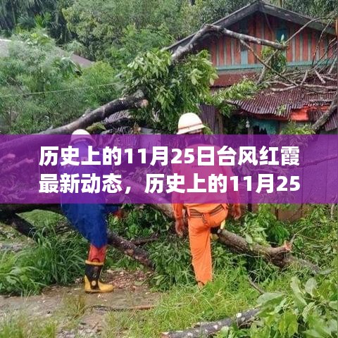 多維度視角下的審視與分析,歷史上的臺風紅霞最新動態揭秘