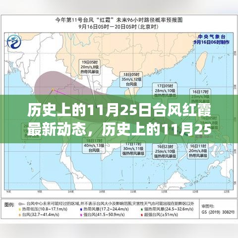 多維度視角下的審視與分析,歷史上的臺風紅霞最新動態揭秘