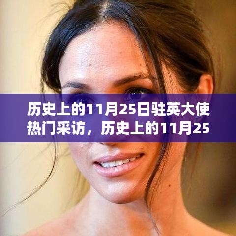 歷史上的11月25日,駐英大使熱門采訪深度解讀