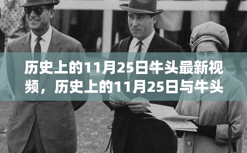 歷史上的11月25日牛頭最新視頻深度解析與觀點爭議探究