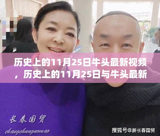 歷史上的11月25日牛頭最新視頻深度解析與觀點爭議探究