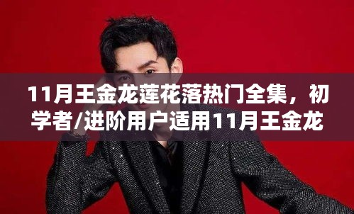 王金龍蓮花落熱門全集學習指南，初學者與進階者的首選