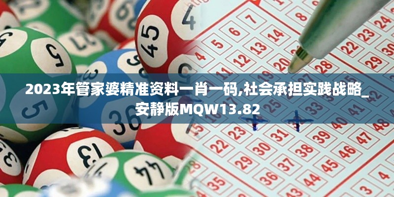 2023年管家婆精準資料一肖一碼,社會承擔實踐戰略_安靜版MQW13.82