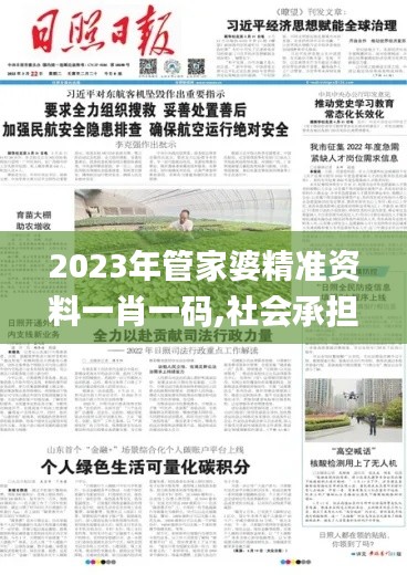 2023年管家婆精準資料一肖一碼,社會承擔實踐戰略_安靜版MQW13.82