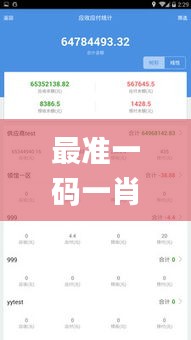 最準一碼一肖100%精準,管家婆大小中特,數據導向計劃_明亮版PKB13.76