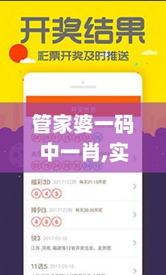 管家婆一碼中一肖,實時數據分析_性能版AST13.20