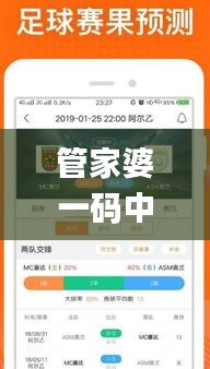 管家婆一碼中一肖,實時數據分析_性能版AST13.20