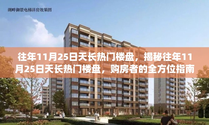 揭秘往年11月25日天長熱門樓盤,購房者的全方位指南