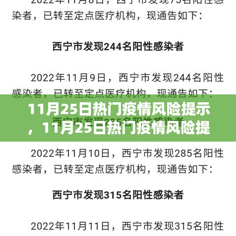 11月25日熱門(mén)疫情風(fēng)險(xiǎn)提示及全面評(píng)測(cè)報(bào)告解析