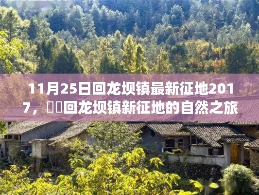 回龍壩鎮征地新動態,探尋內心平靜的征途啟程于自然之旅