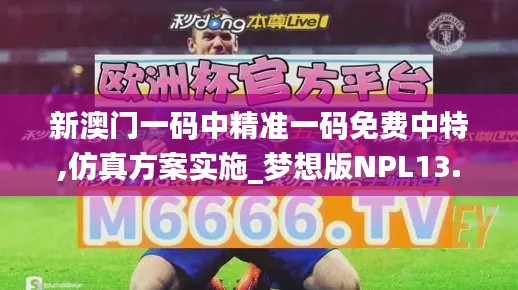 新澳門一碼中精準一碼免費中特,仿真方案實施_夢想版NPL13.58