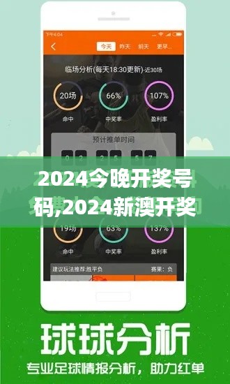 2024今晚開獎號碼,2024新澳開獎結果,高度協調實施_結合版DBE13.2