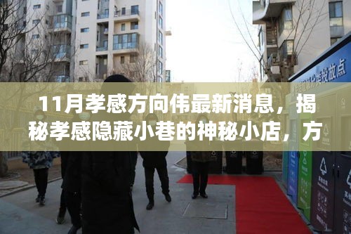 揭秘孝感隱藏小巷的神秘小店,方向偉的孝感美食之旅