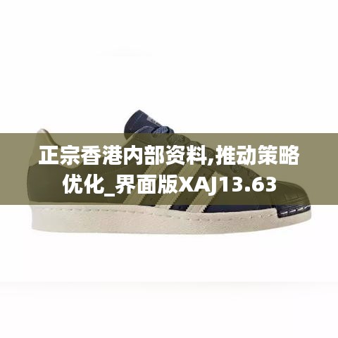 正宗香港內(nèi)部資料,推動(dòng)策略優(yōu)化_界面版XAJ13.63