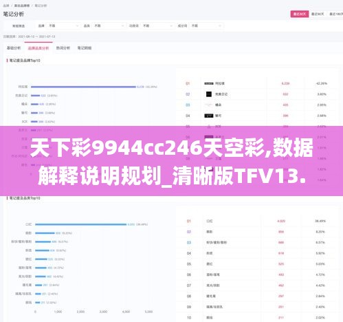 天下彩9944cc246天空彩,數(shù)據(jù)解釋說明規(guī)劃_清晰版TFV13.16