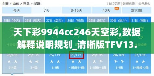 天下彩9944cc246天空彩,數(shù)據(jù)解釋說(shuō)明規(guī)劃_清晰版TFV13.16