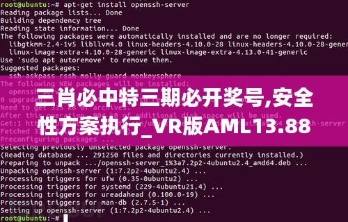 三肖必中特三期必開獎號,安全性方案執行_VR版AML13.88