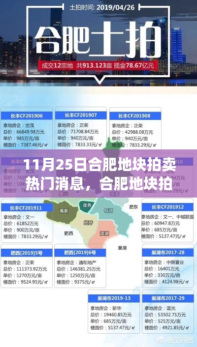 合肥地塊拍賣掀起熱潮,地產(chǎn)風(fēng)云再掀波瀾