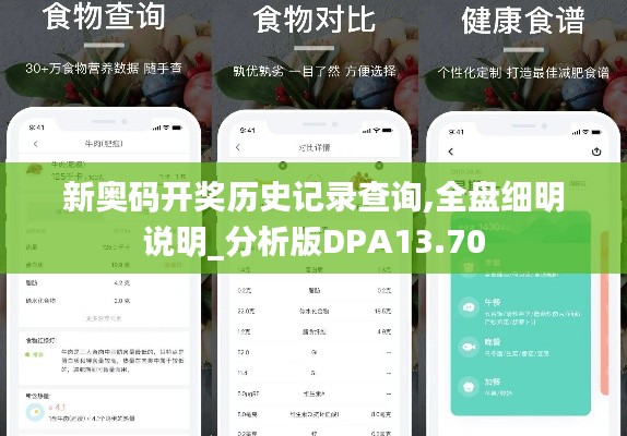 新奧碼開獎歷史記錄查詢,全盤細明說明_分析版DPA13.70
