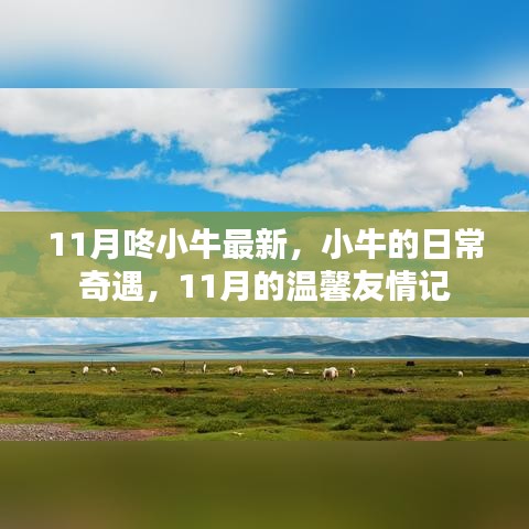 小牛奇遇記,溫馨友情與日常奇遇的十一月篇章