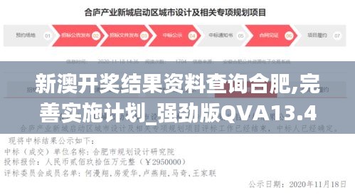 新澳開獎結果資料查詢合肥,完善實施計劃_強勁版QVA13.45