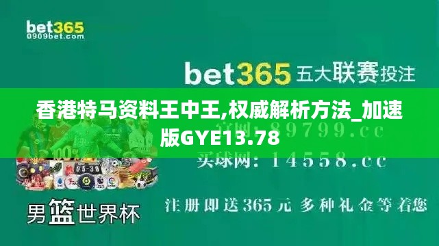 香港特馬資料王中王,權威解析方法_加速版GYE13.78
